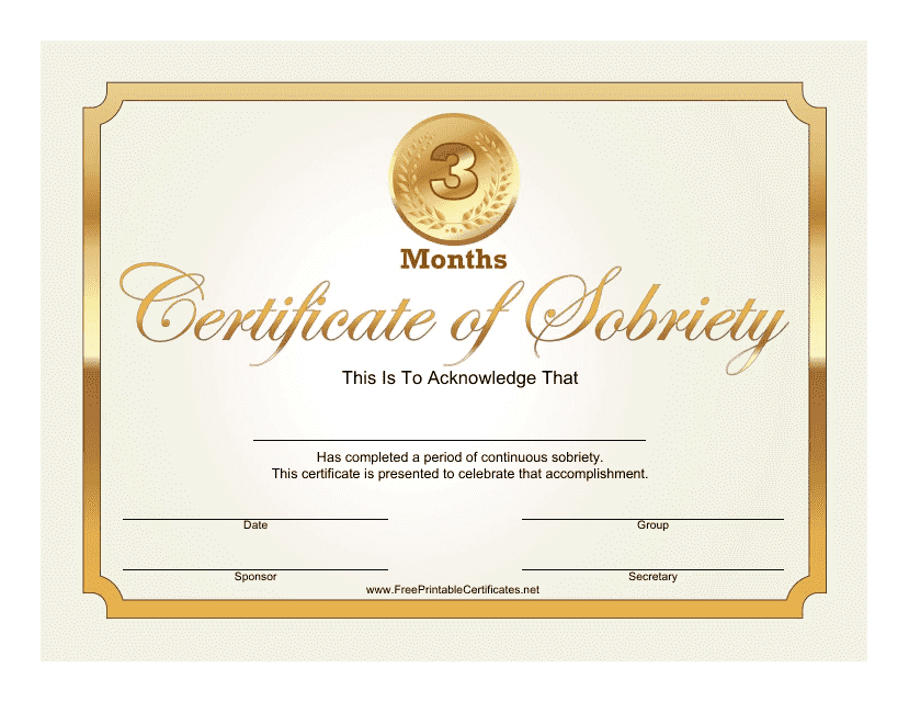 3 Months Certificate of Sobriety Template - Preview Image