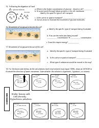 Cell Transport Biology Worksheet, Page 2