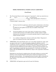 Model Promotional Shares Lock-In Agreement Form - Class B Issuer