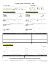 Document preview: Child Support Information Sheet