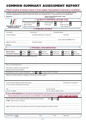 Common Summary Assessment Report Form - Ireland