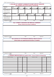 Common Summary Assessment Report Form - Ireland, Page 2