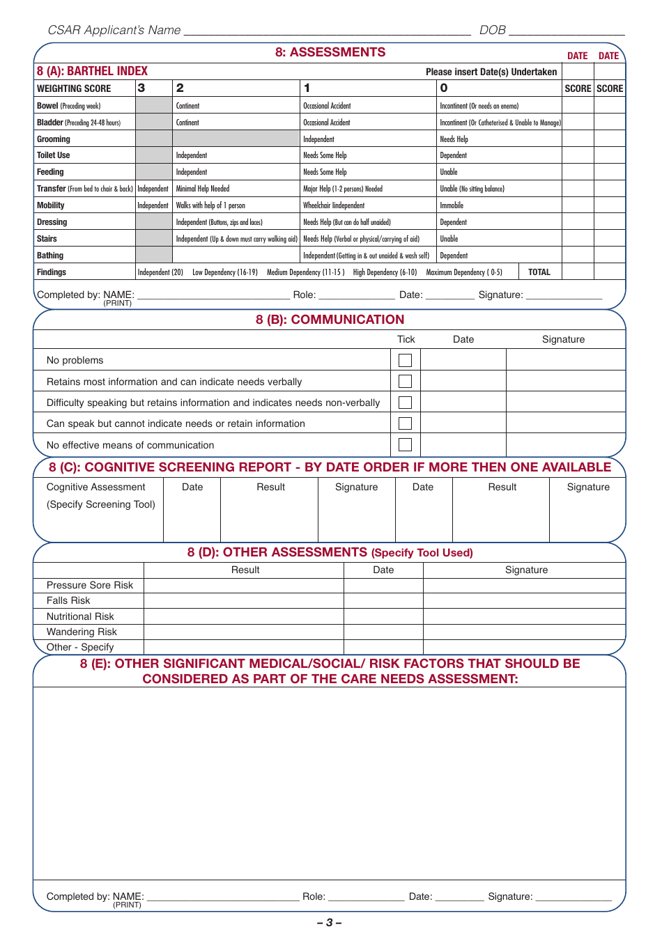 Common Summary Assessment Report Form - Ireland, Page 3