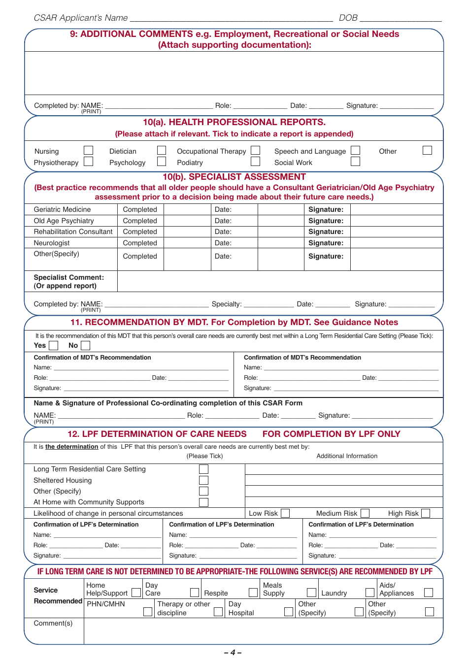 Common Summary Assessment Report Form - Ireland, Page 4