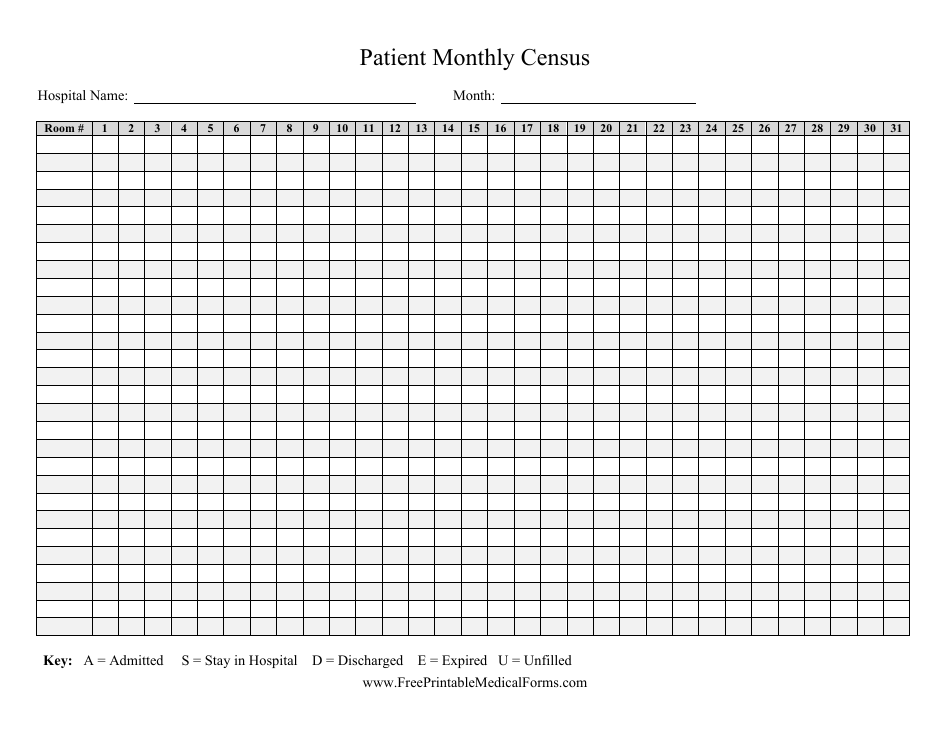 Patient Monthly Census Form, Page 1