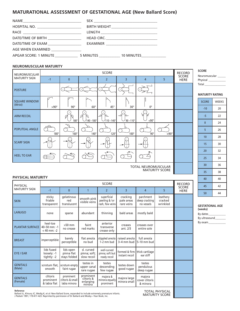 Gestational Age Maturational Assessment Form - New Ballard Score, Page 1