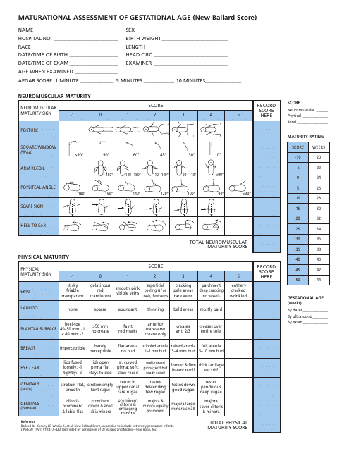 Gestational Age Maturational Assessment Form - New Ballard Score ...