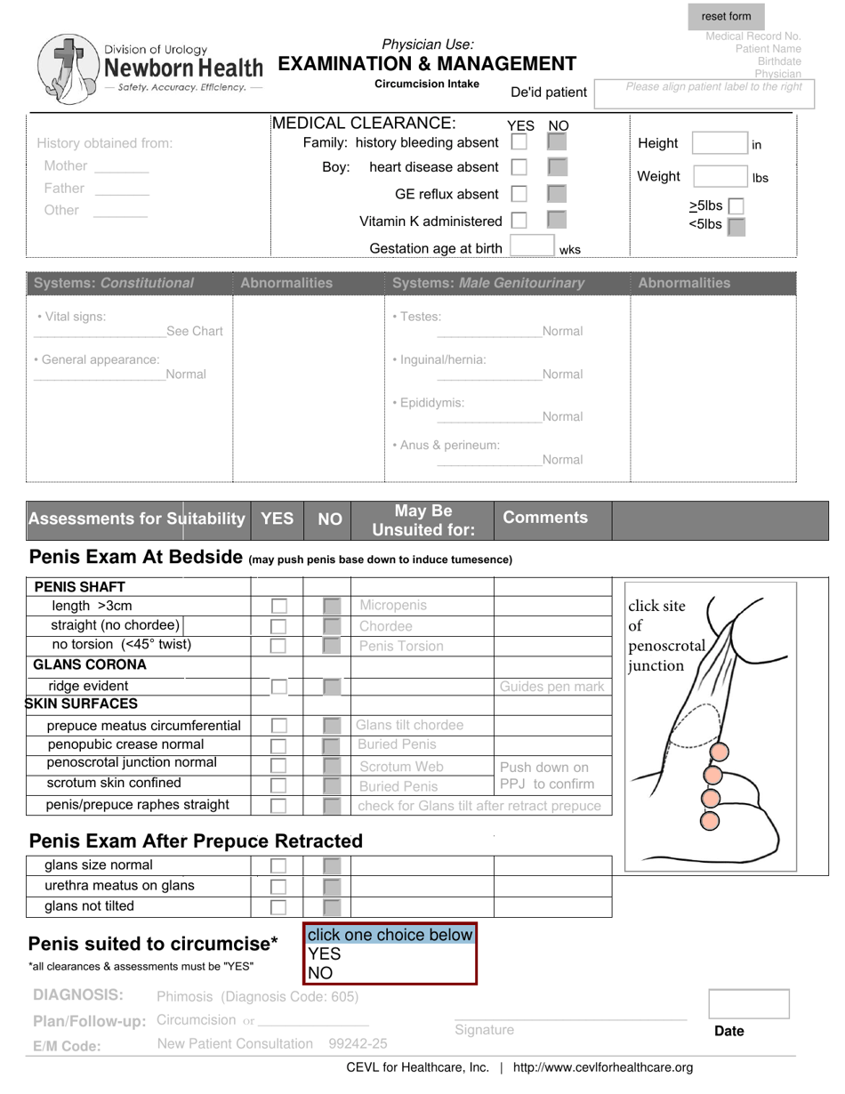 Patient Circumcision Intake Form - Newborn Health - Fill Out, Sign ...