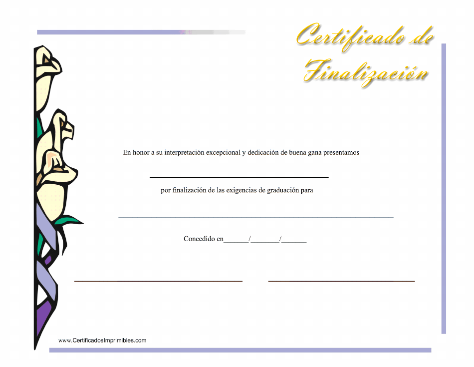 Certificado De Finalizacion (Spanish), Page 1