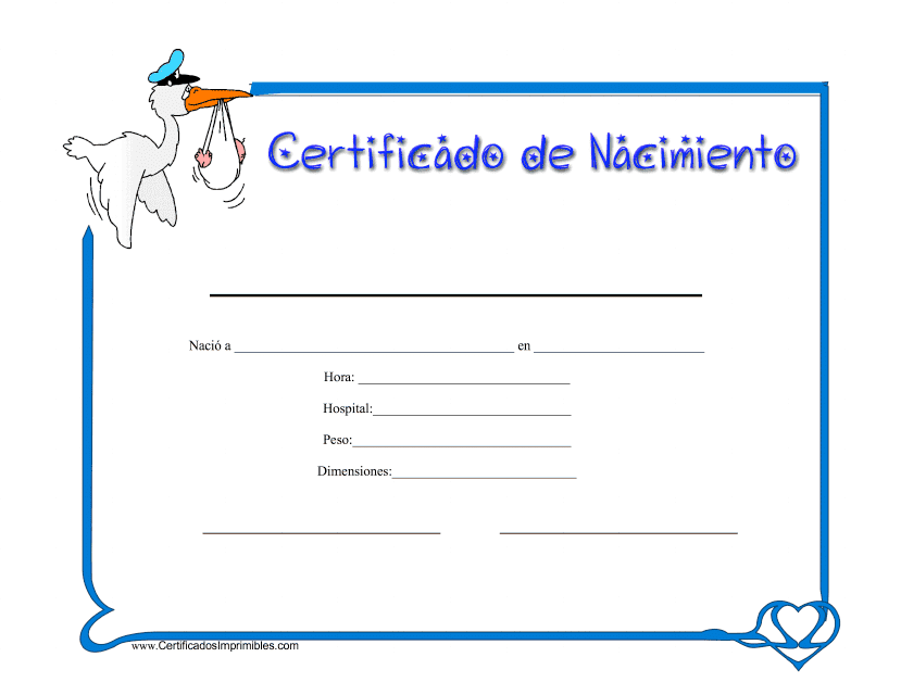 Certificado De Nacimiento - Pajaro - Spain (Spanish)
