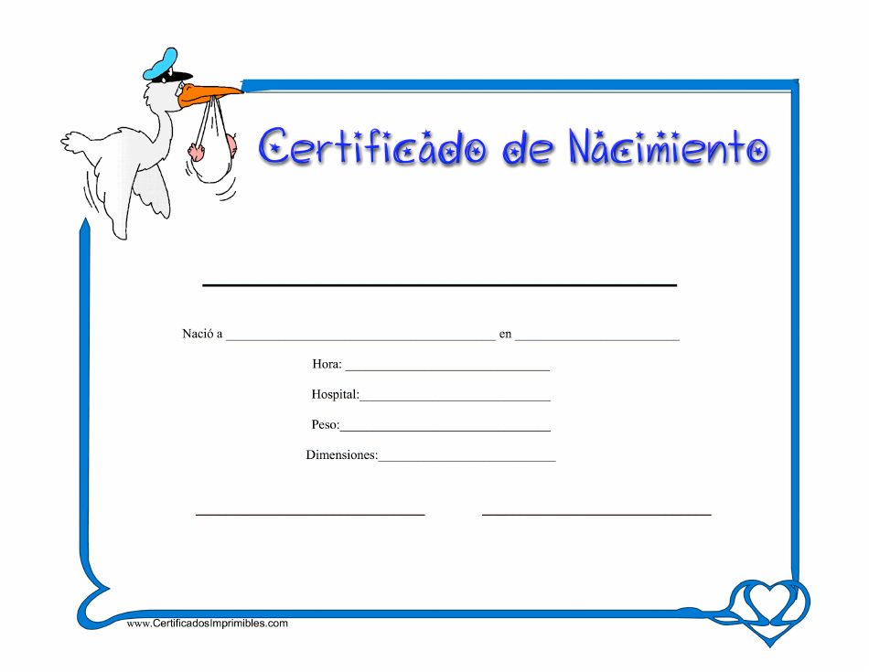Certificado De Nacimiento - Pajaro - Spain (Spanish) document preview image