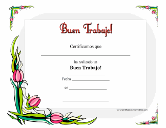 &quot;Buen Trabajo Certificado&quot; - Spain (Spanish)