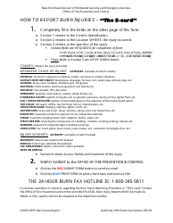 NYS Ofpc Burn Injury Report - New York, Page 2