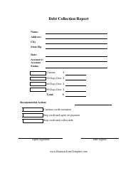 Document preview: Debt Collection Report Template