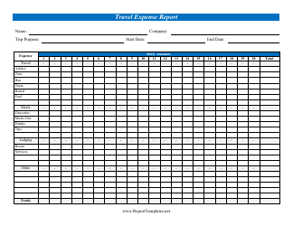 Document preview: Travel Expense Report Template - Daily Amounts