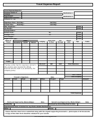 Document preview: Travel Expense Report Template - Big Table