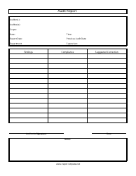 Document preview: Audit Report Template