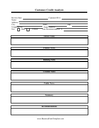 Document preview: Customer Credit Analysis Report Template