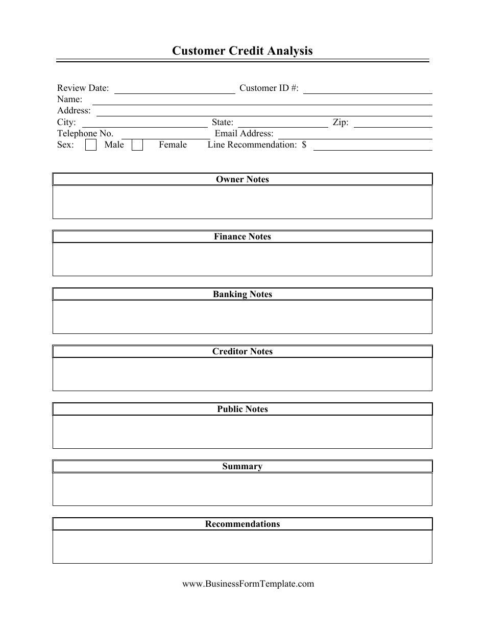 Customer Credit Analysis Report Template, Page 1