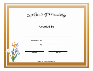 Document preview: Friendship Certificate Template - Brown