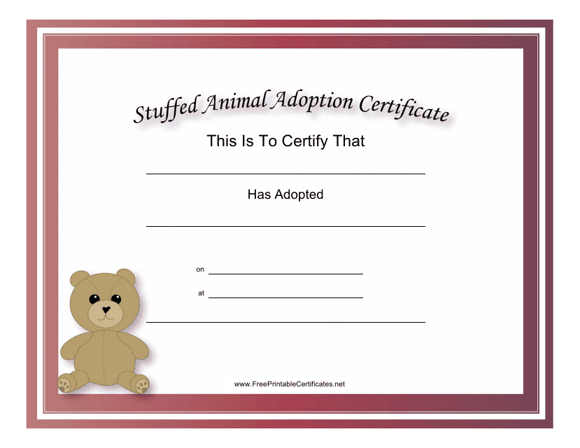 Kitten Adoption Certificate The W Guide