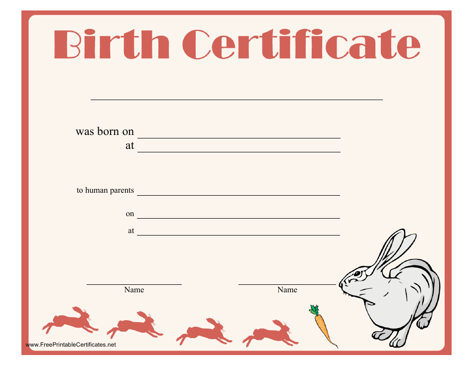 Birth Certificate Template for Rabbit Download Printable PDF