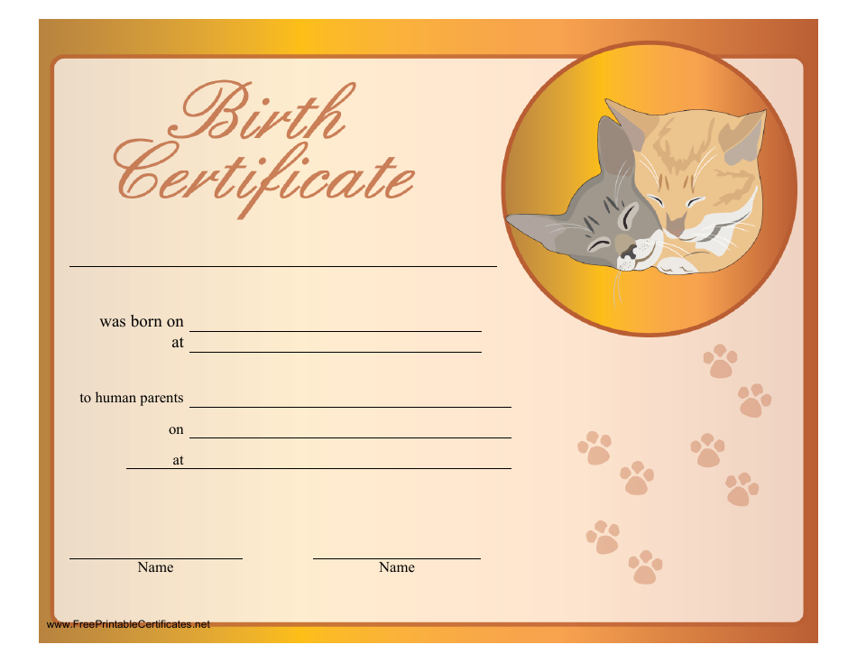 Cat Birth Certificate Free Printable