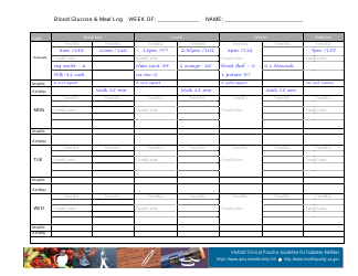 &quot;Weekly Blood Glucose &amp; Meal Log Template&quot;