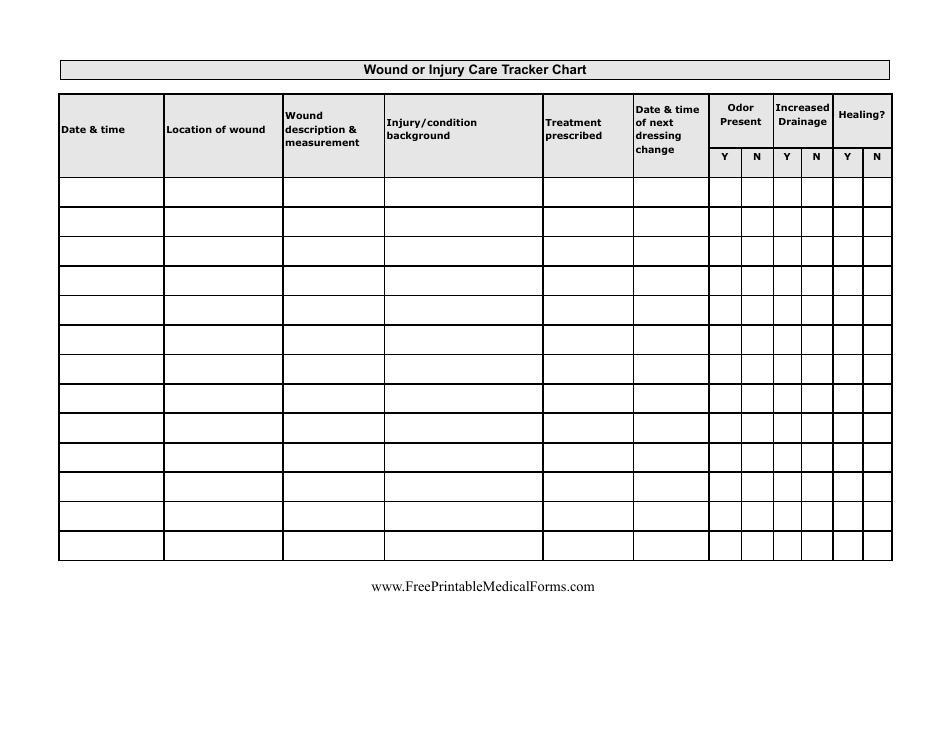Wound Injury Care Tracker Chart Template