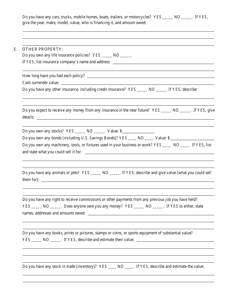 Bankruptcy Questionnaire Template, Page 20
