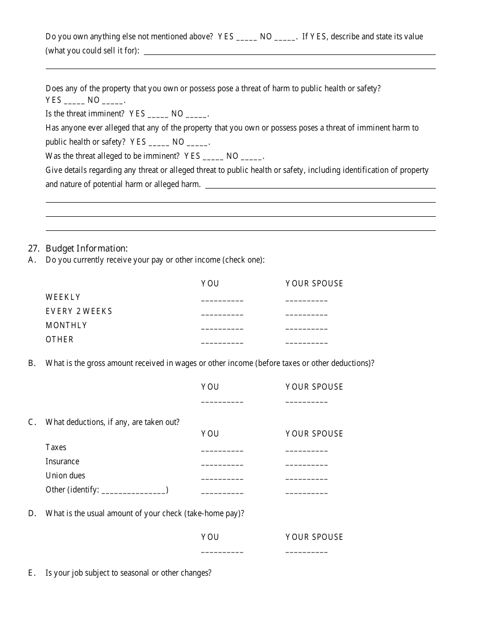 Bankruptcy Questionnaire Template, Page 21
