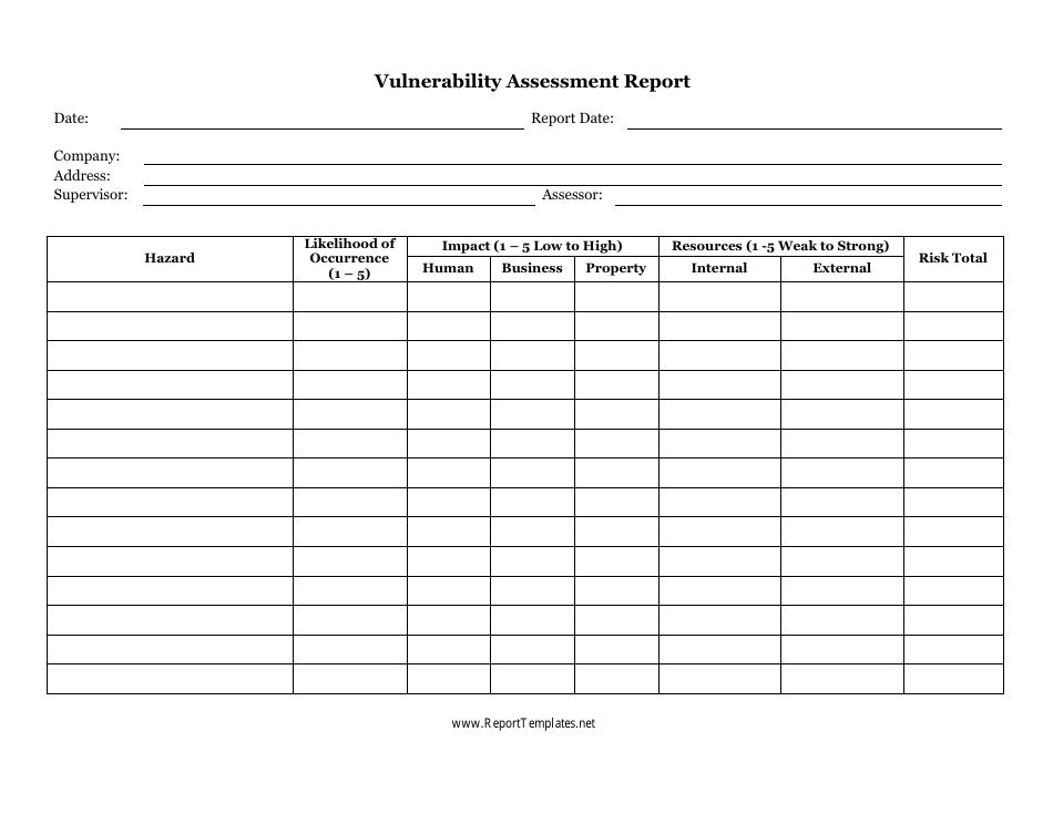 Vulnerability Assessment Report Template, Page 1