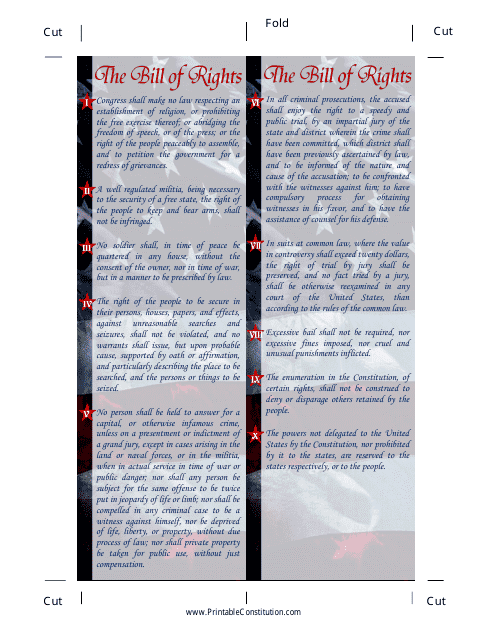 Bill of Rights Bookmark Template Image Preview 12