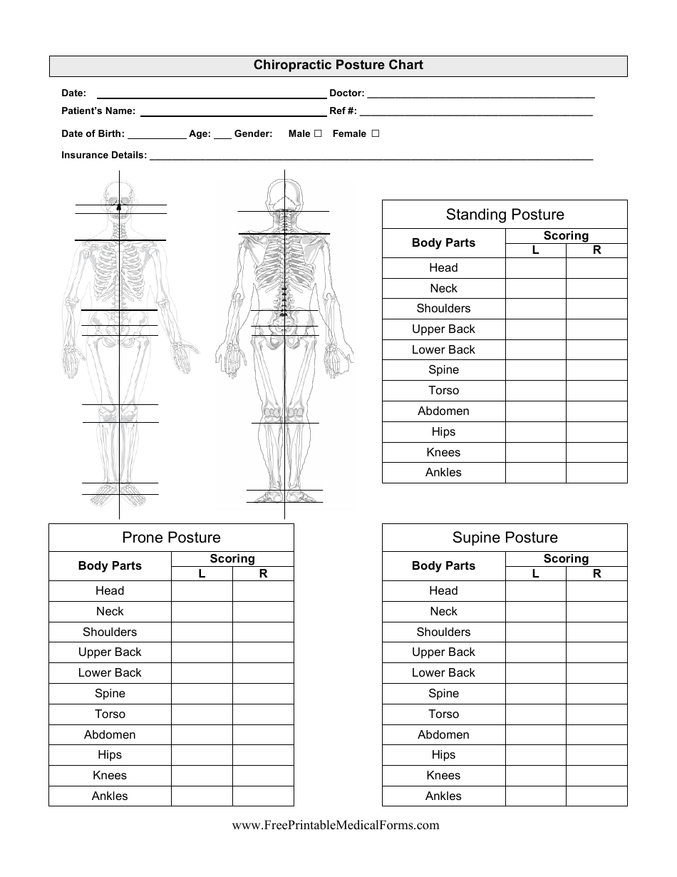 Chiropractor Posture Chart Template Preview