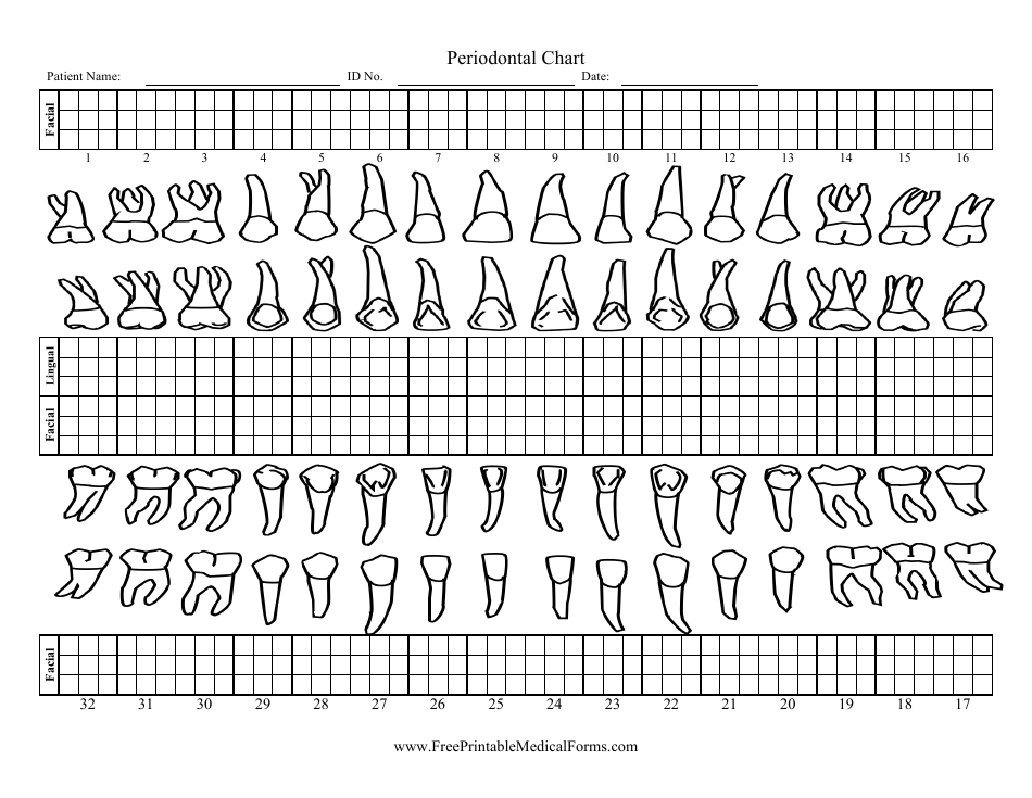 Periodontal Chart Template - A Convenient Tool for Monitoring Periodontal Health