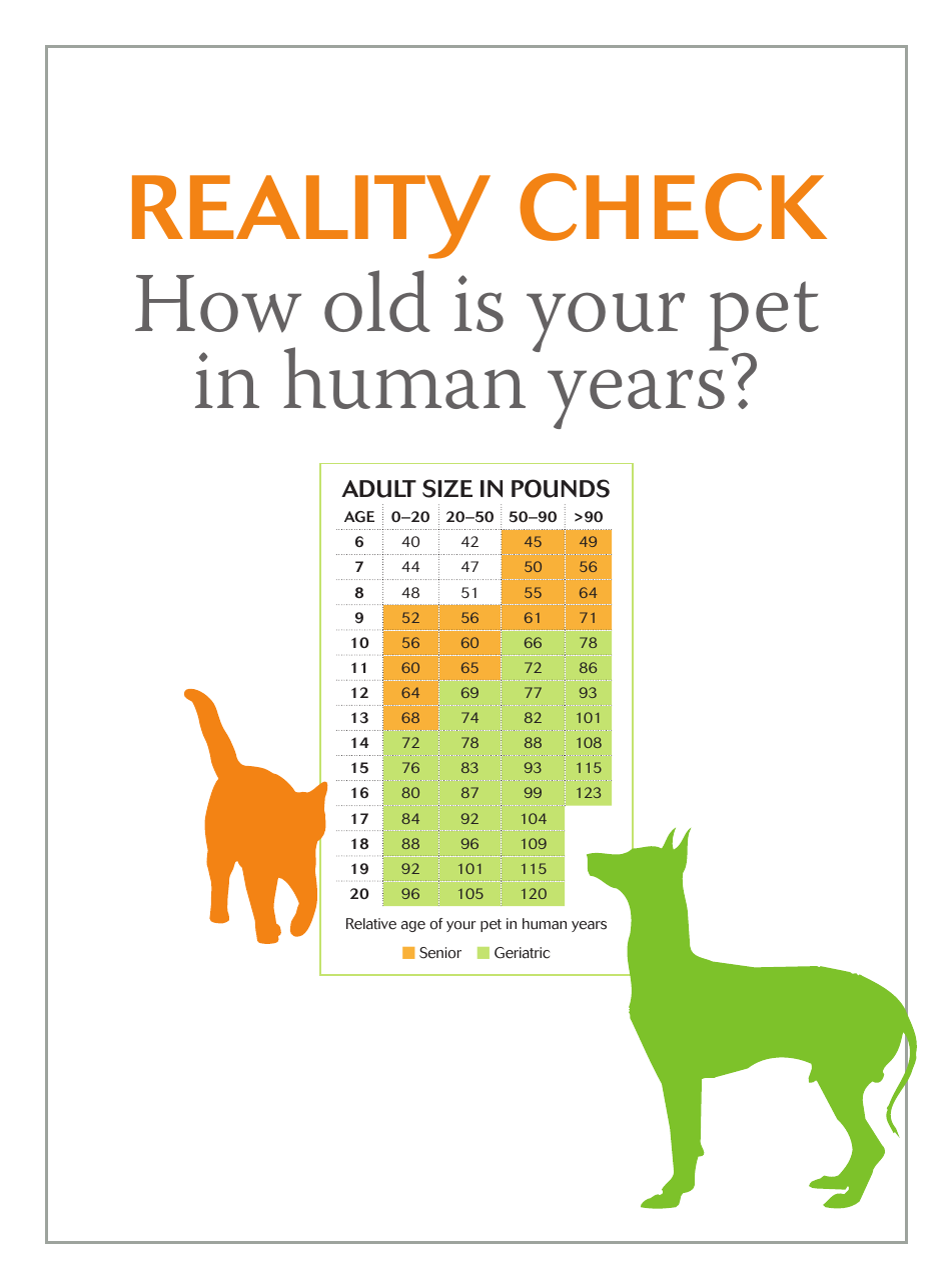 A visual representation of a Pet Age Chart Template