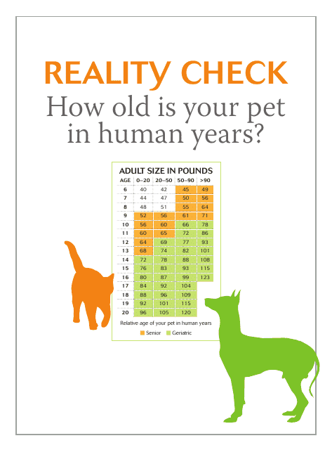 A visual representation of a Pet Age Chart Template