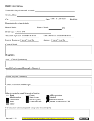 Death Report Form - Minnesota, Page 2