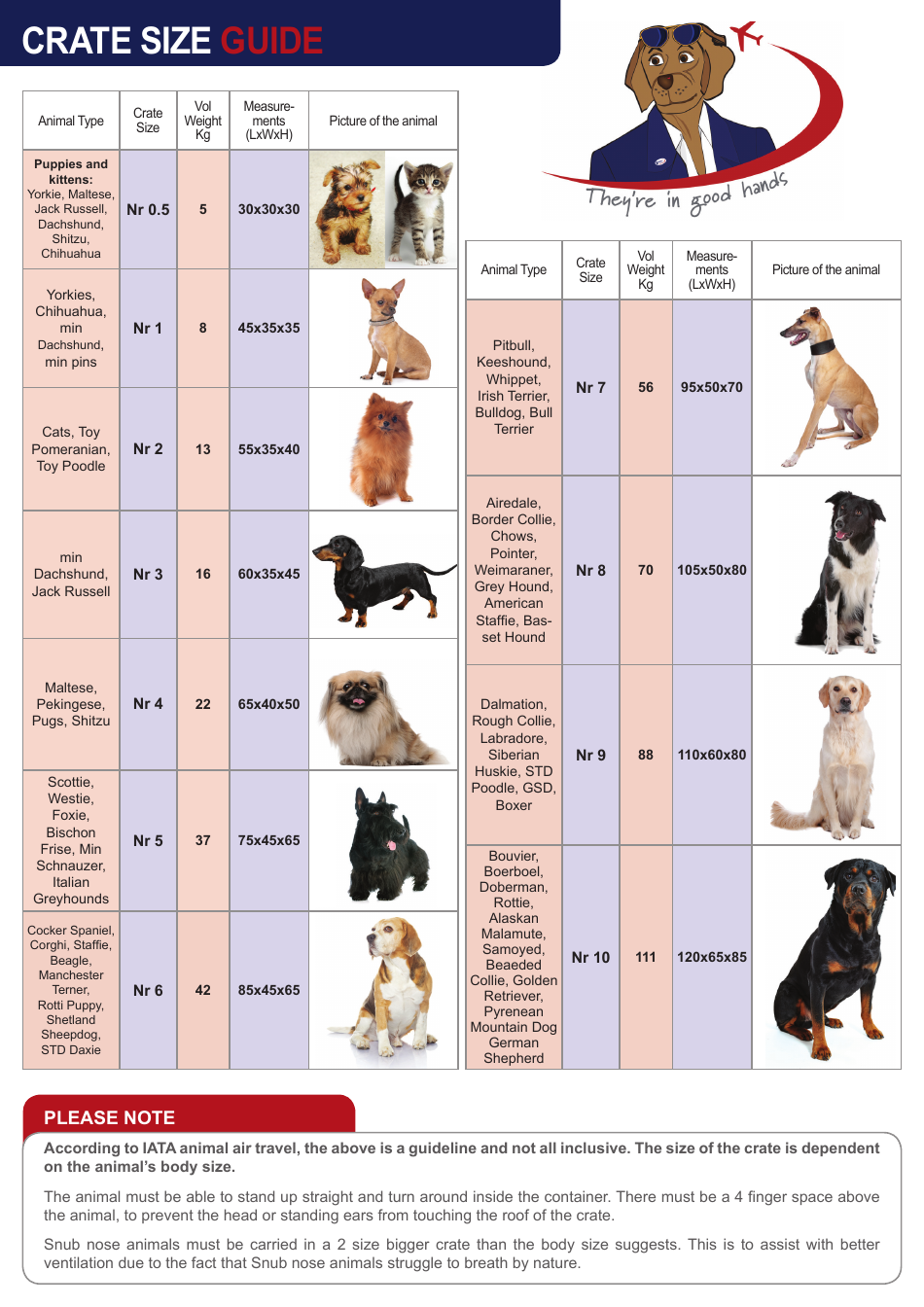 Dog Cat Crate Size Chart Download Printable PDF Templateroller