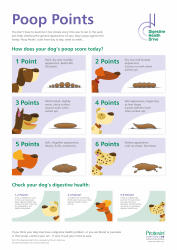 Document preview: Dog Poop Examination Chart - Digestive Health Drive