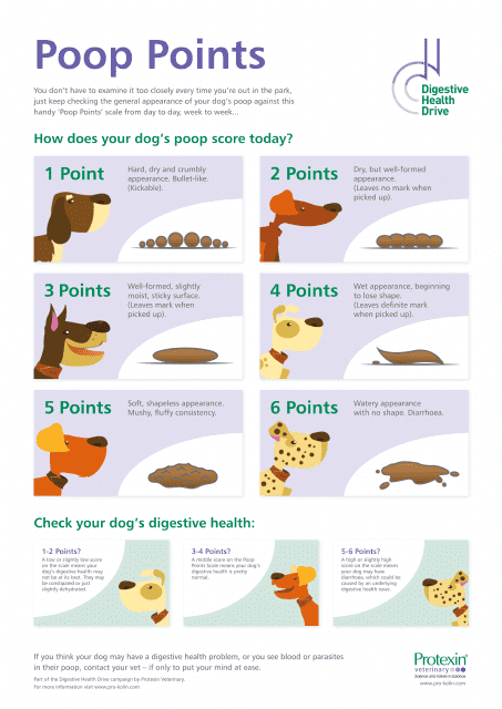 Image of Dog Poop Examination Chart - Digestive Health Drive