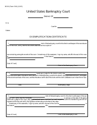 Document preview: Form B1310 Exemplification Certificate
