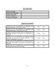 Prenuptial/Postnuptial Agreement Intake Form - Amarai &amp; Associates, P.c., Page 12