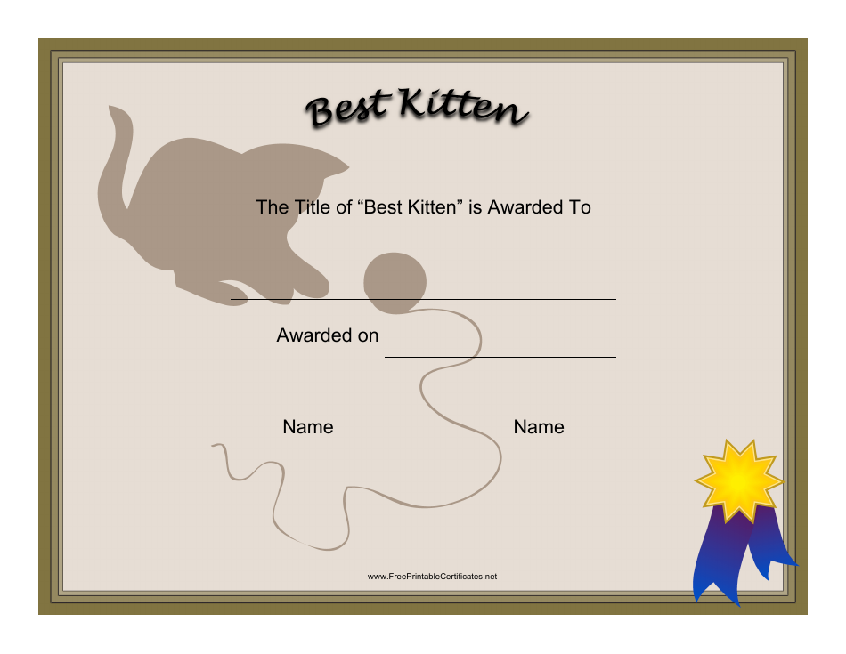 Best Kitten Award Certificate Template - A vibrant and professional certificate design for recognizing the best kitten.