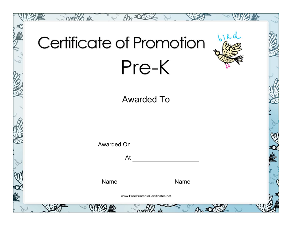 Pre-k Promotion Certificate Template - A colorful and vibrant certificate template for recognizing the outstanding achievements of pre-k students. The design showcases a playful and inviting atmosphere, capturing the spirit of this important milestone in a child's educational journey. Celebrate their growth and success with this eye-catching certificate template.