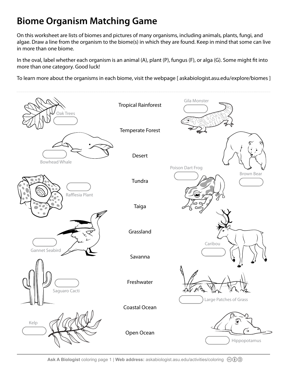 Biome Organism Matching Game Worksheet Preview