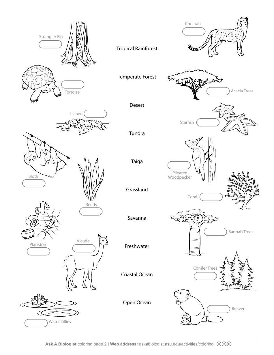 Biome Organism Matching Game Worksheet Download Printable PDF ...