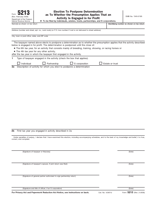 IRS Form 5213  Printable Pdf
