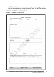 Document preview: Internal Audit Report - Sample