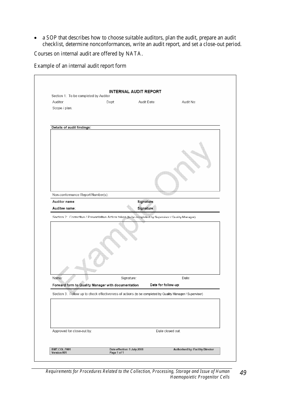Internal Audit Report - Sample, Page 1